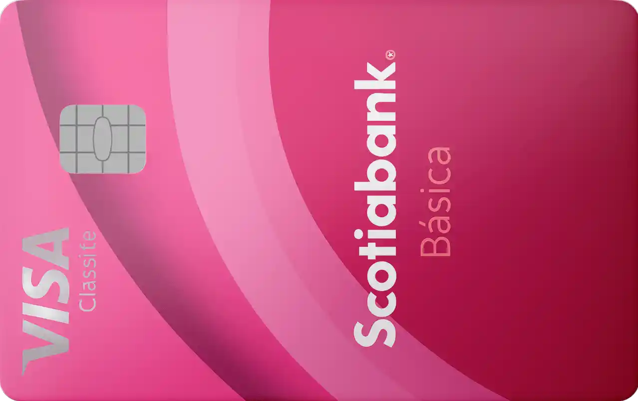 Scotia Básica